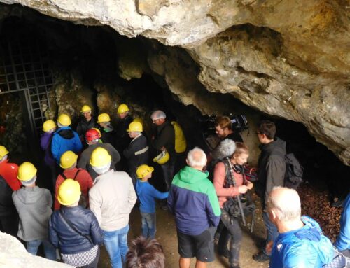 Felsenhöhle ist Teil des Ferienprogramms und veranstaltet Höhlentag